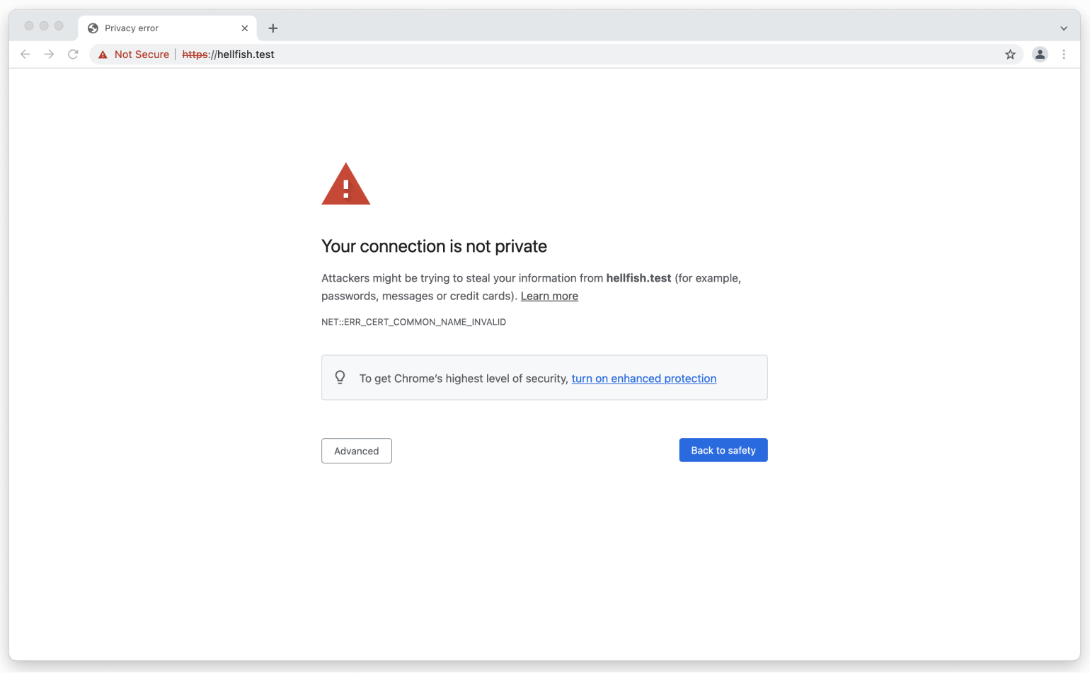 Screenshot of Chrome browser with privacy error.