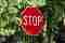 a stop sign