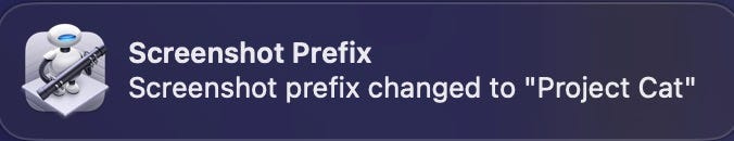 Notification saying “Screenshot prefix changed to “Project Cat””