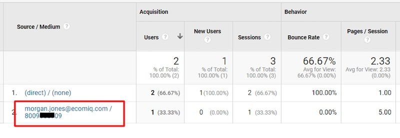 This sample Acquisition report includes a personal email address and phone number in, respectively, the Source and Medium fields.