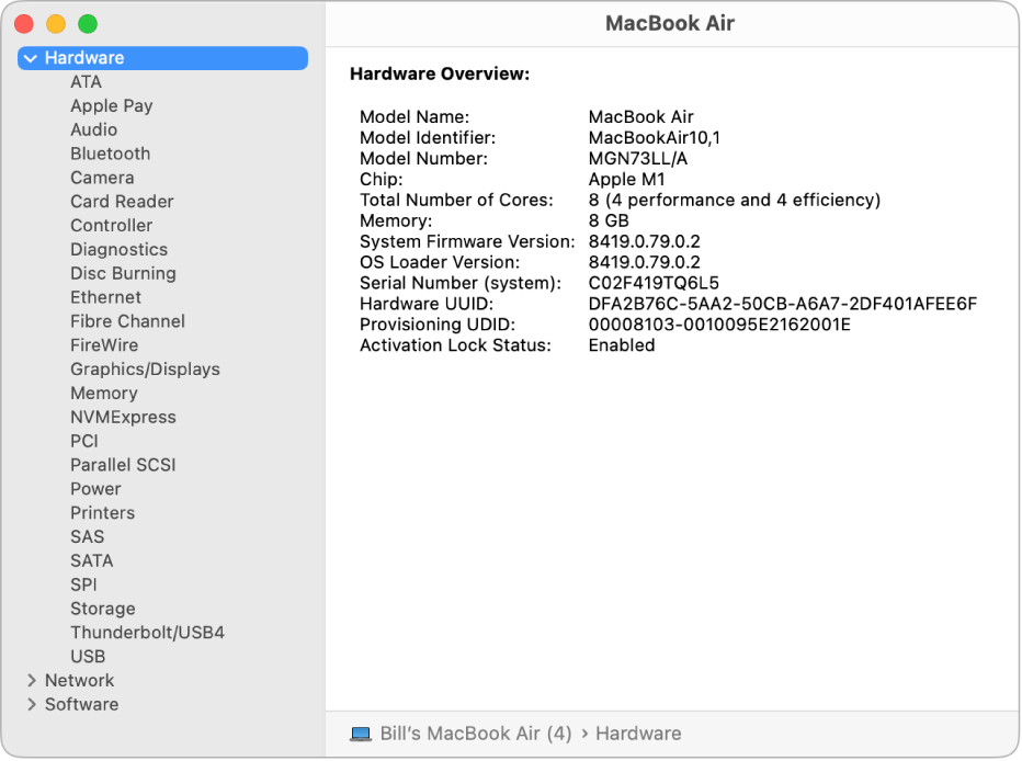 The Hardware Overview section of a system report.